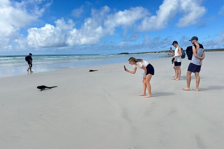 Private Charles Darwin Station Tour &Tortuga Bay Beach with lunch - Photo 1 of 10